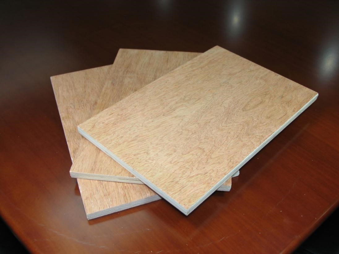 1602574223133359.jpg 1602574223133359.jpg