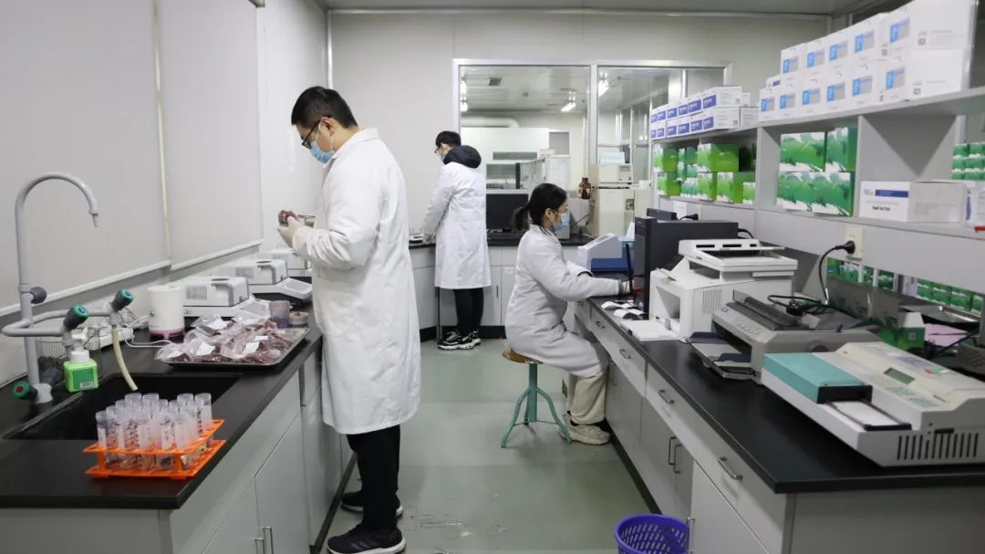 1704767078643196.jpg 1704767078643196.jpg